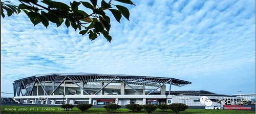 住建局小編和你聊聊 買房時(shí)，別忽略城市綠化管理